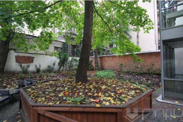 Kraków, Stare Miasto, Henryka Siemiradzkiego, **Stare Miasto**Kawalerka**Śliczna**32m2