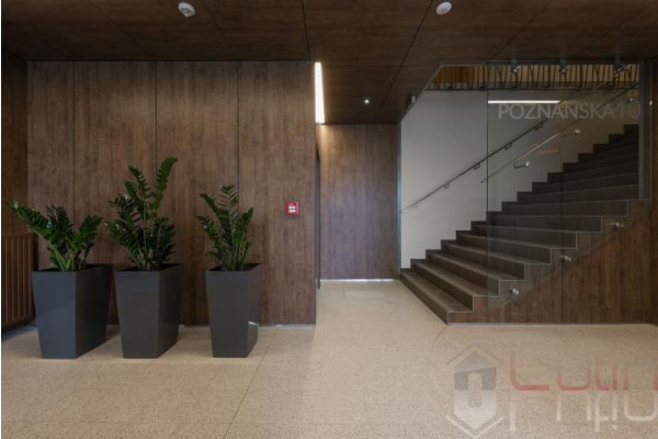 Kraków, Krowodrza, Poznańska, Do WEjścia__atrakcyjna cena