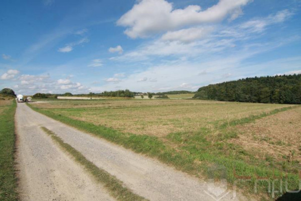 krakowski, Wielka Wieś, Czajowice, Widokowa, OPN tuż przy wejsciu piękne otoczenie!