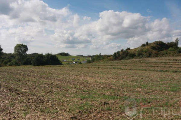 krakowski, Wielka Wieś, Czajowice, Widokowa, OPN tuż przy wejsciu piękne otoczenie!