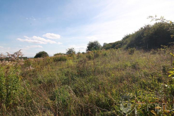 krakowski, Wielka Wieś, Czajowice, Widokowa, OPN tuż przy wejsciu piękne otoczenie!