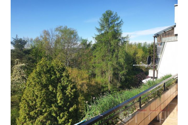 Krak&oacute;w, Bronowice, Armii Krajowej, *****Rezerwacja******Słoneczne**Rozkładowe**Do wejścia**Top Lokalizacja