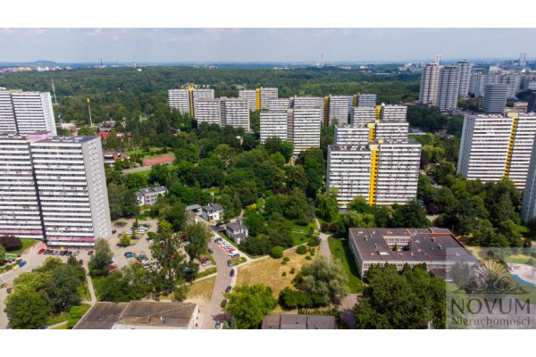 Katowice, JEDYNA W KATOWICACH TAKA CIEKAWA DZIAŁKA