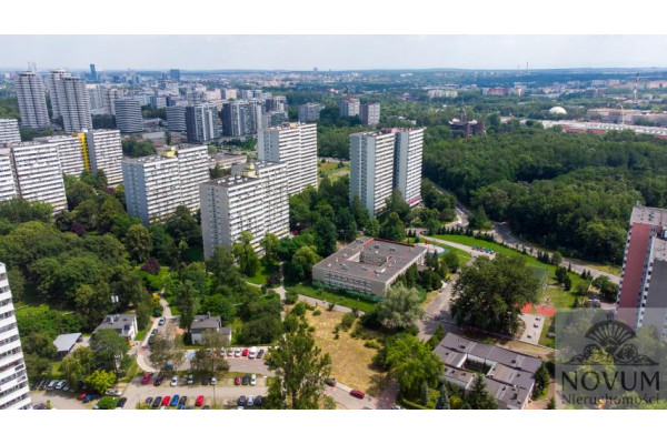 Katowice, JEDYNA W KATOWICACH TAKA CIEKAWA DZIAŁKA