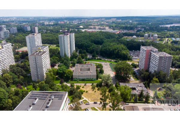 Katowice, JEDYNA W KATOWICACH TAKA CIEKAWA DZIAŁKA