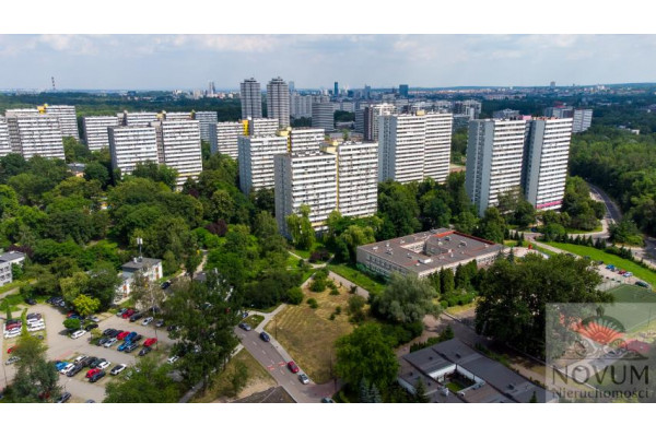 Katowice, JEDYNA W KATOWICACH TAKA CIEKAWA DZIAŁKA